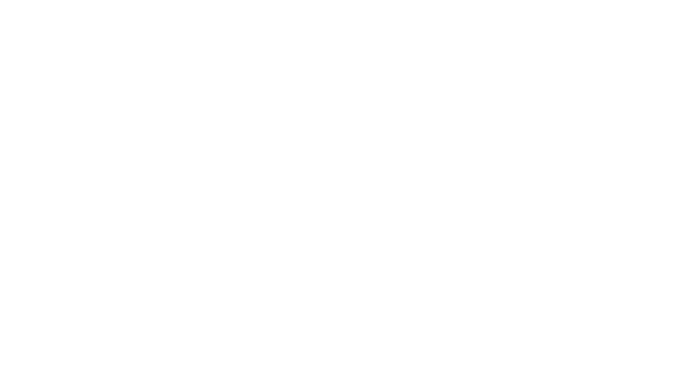 Pajaj Holding & Co